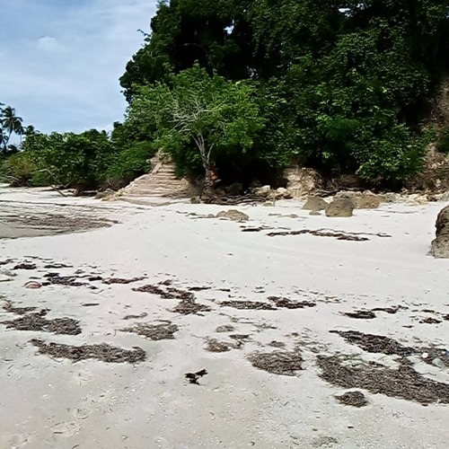 Beach plot for sale at bagamoyo near saadani