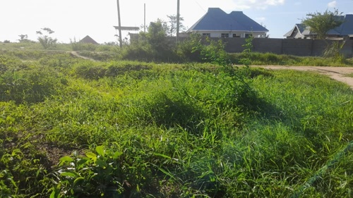 Tunauza Viwanja Kwa Bei Nafuu