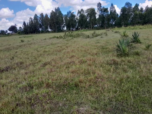 4.5 Acres Land for Sale