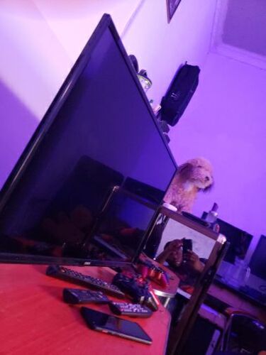 Smart TV star x  32