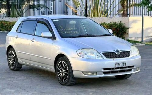 RUNX ALEX NAUZA NEW SAFI