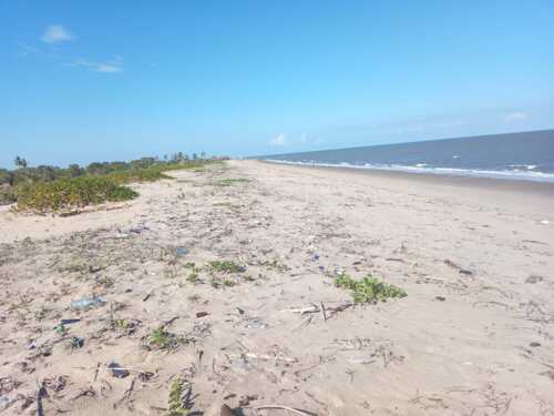 78 ACRES BEACH LAND BAGAMOYO 