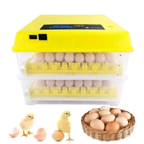 Incubator eggs 112