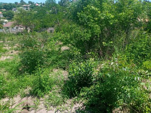 Plot for sale