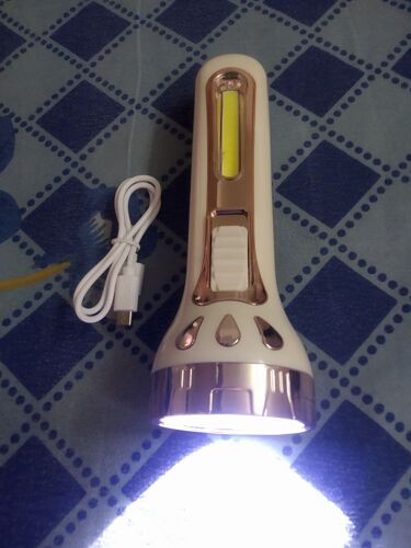 Dual USB Solar TORCH 