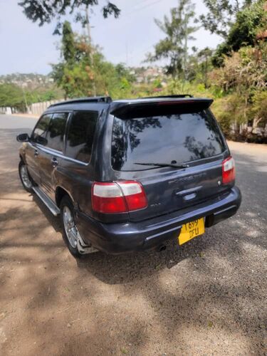 Forester    vann