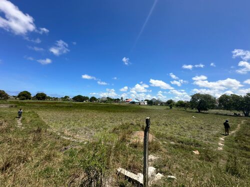 LAND IN KIGAMBONI MWONGOZO