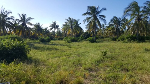 Beach plot for sale at Mtwara-Msimbati