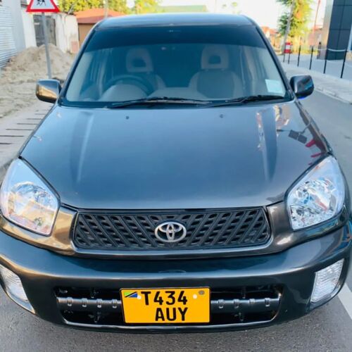 Toyota Rav4 kil Time Year 2001