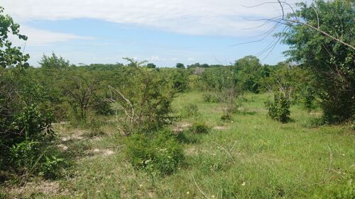 Shamba la ekari 50 linauzwa 