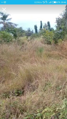 Shamba heka kumi Dodoma 