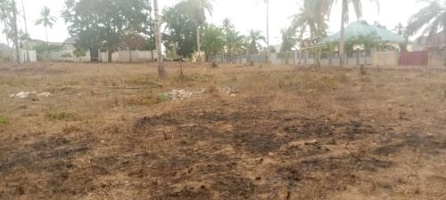 Plot nauza kibada/kisarawe2