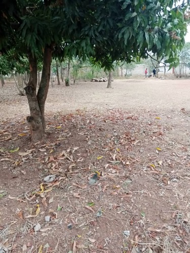  Kiwanja Kinauzwa Kishiri