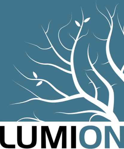 Lumion (full, lifetime Activated)