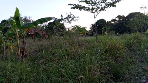 KIWANJA SQM,1,500 LUGURUNI 