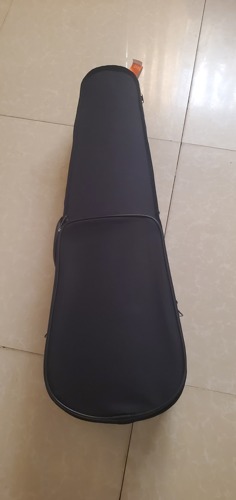 4/4 Synwin Violin Complete set