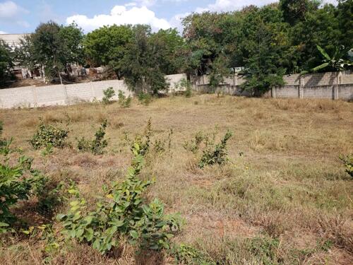 PLOT FOR SALE LOCATED SALASALA