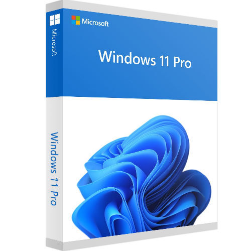 WINDOWS 11 PROFESSIONAL 64 BIT MEDIA KIT