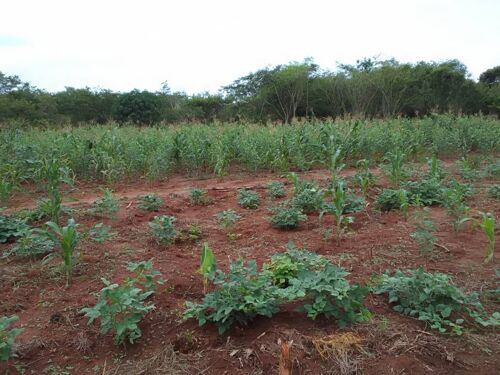 Shamba la eka 20 Linauzwa lote