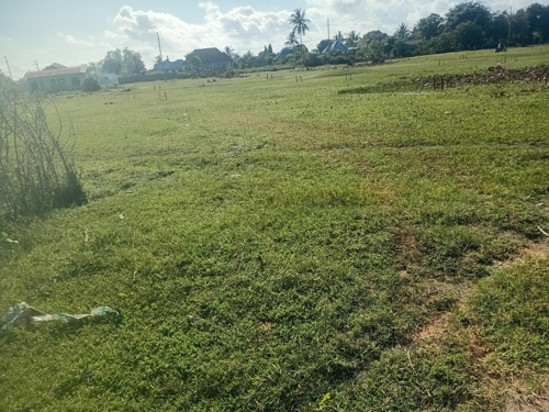 Viwanja
