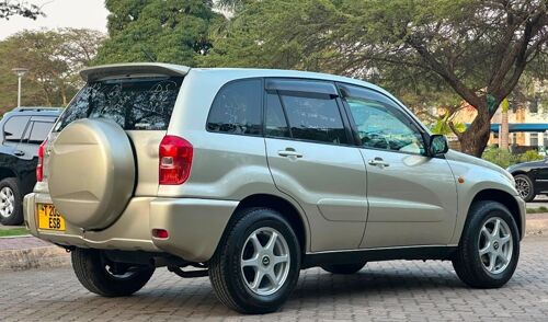 Rav4 rav 4 killtime