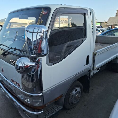 Mitsubishi Canter Guts for sal