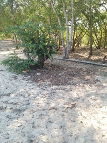 Beach plot at Tanga Mwambani 