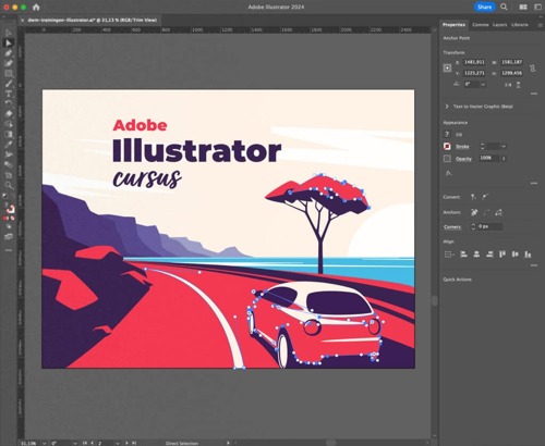 Adobe Illustrator Activated