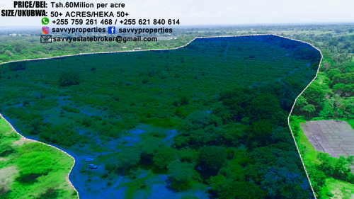50 ACRES PRIME LAND FOR SALE IN USA RIVER ARUSHA
