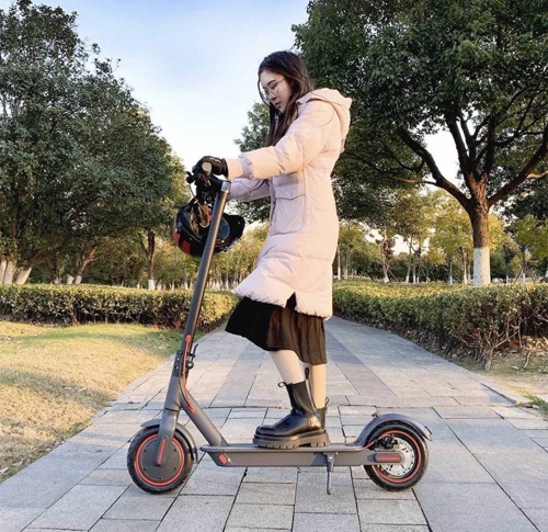 Electric Scooters