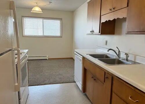 Apartments for rent at sinza