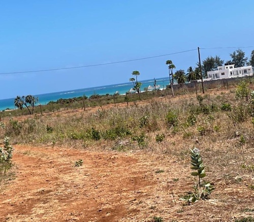 Beach Plot For Sale