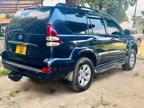 Prado 120 Diamond 