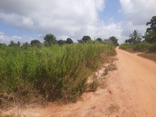 Shamba ekari 4 bagamoyo 