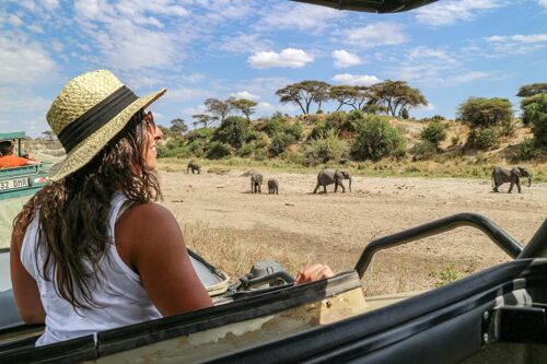 3 Days Tarangire Ngorongoro Crater & Lake Manyara