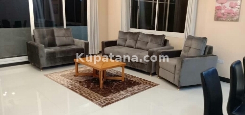 Upanga beautiful clean and in move-in condition 3 Bedrooms Apartment 