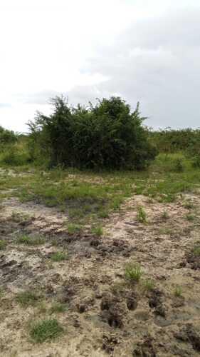 PLOT FOR SALE BAGAMOYO 7M