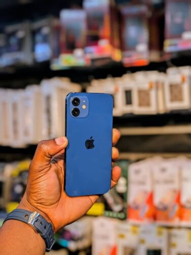 iPhone 12 plain