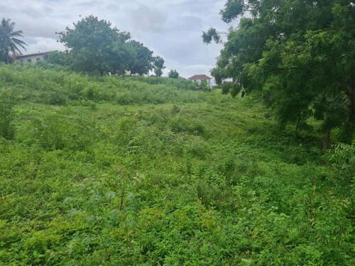 PLOT VIEW FOR SALE MBEZI BEACH AFRICANA