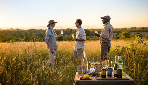 7 Days Tanzania lodge Safari Prices | Leken Adventure