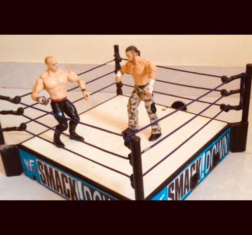 WWE Smackdown Ring TOY