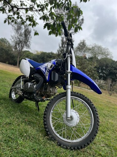 Yamaha 110 for sale