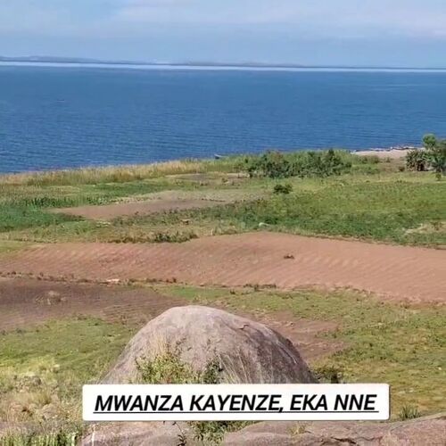 Bich plot kayenze mwanza