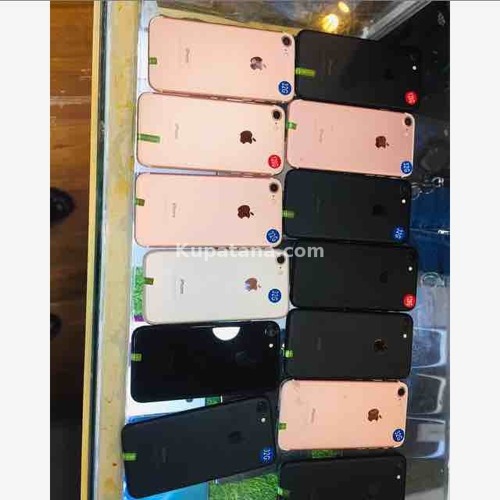iPhone 7 Plain