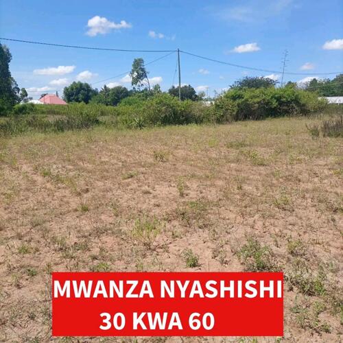 Mwanza Nyashishi