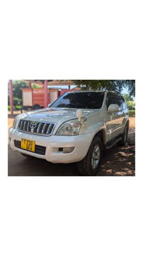 Prado 120