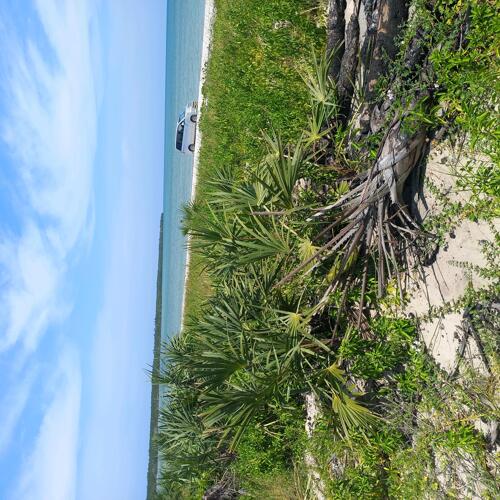 5 ACRES BEACH PLOT FOR SALE AT BUYUNI KIGAMBONI