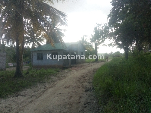 NYUMBA INAUZWA VIKINDU kazole