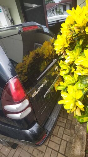 Prado tx 120 diamond 2tr 