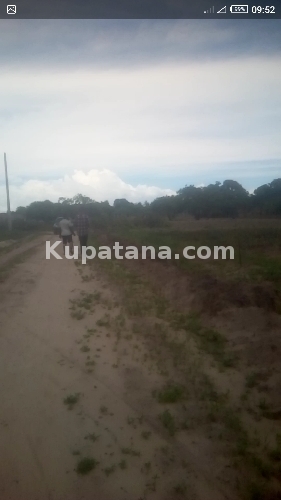 Kwa Waitaji Viwanja Vya Sqwata Na Kupima Kigamboni JIJINI Dar Vipo Call Us 0784862313